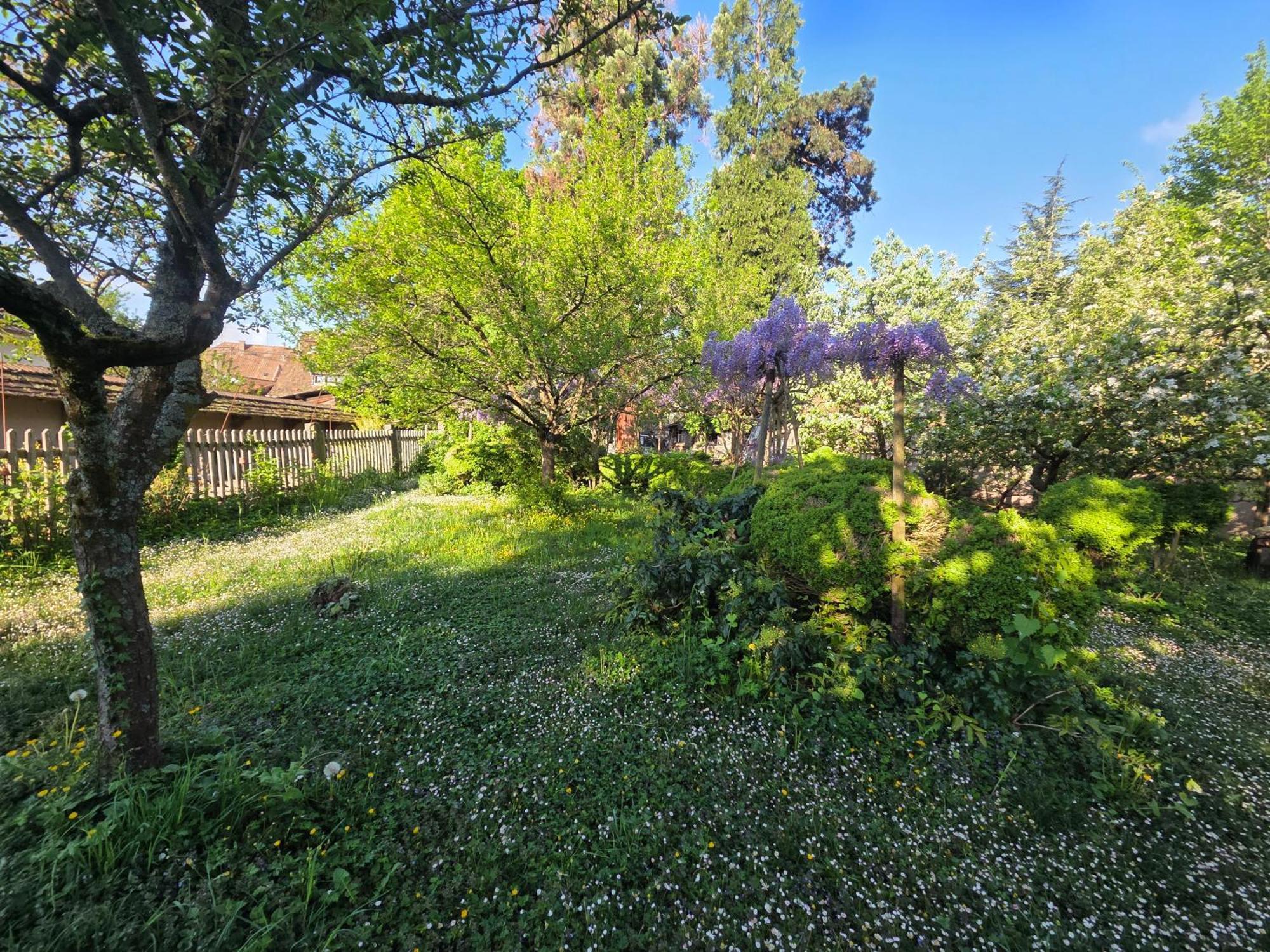 Nid de Cigognes Villa Barr Eksteriør billede