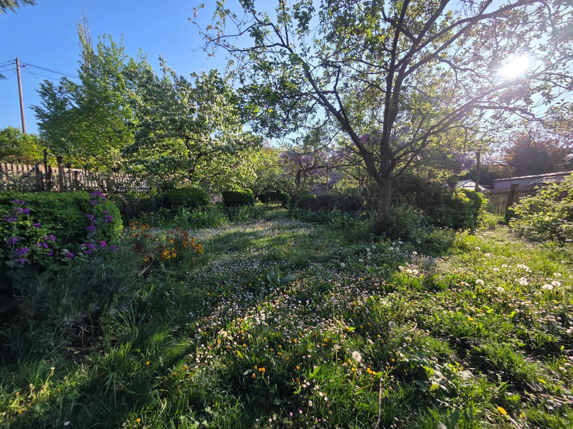 Nid de Cigognes Villa Barr Eksteriør billede