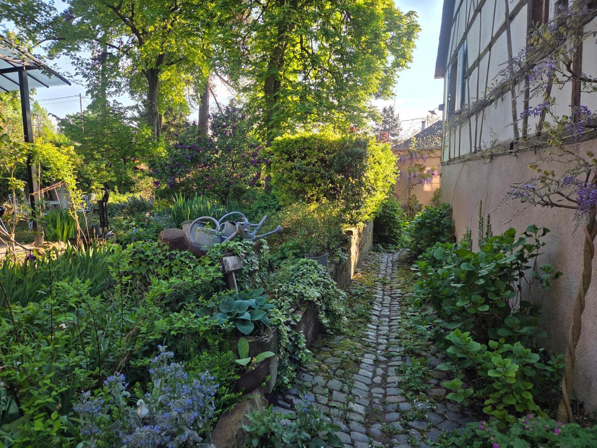 Nid de Cigognes Villa Barr Eksteriør billede